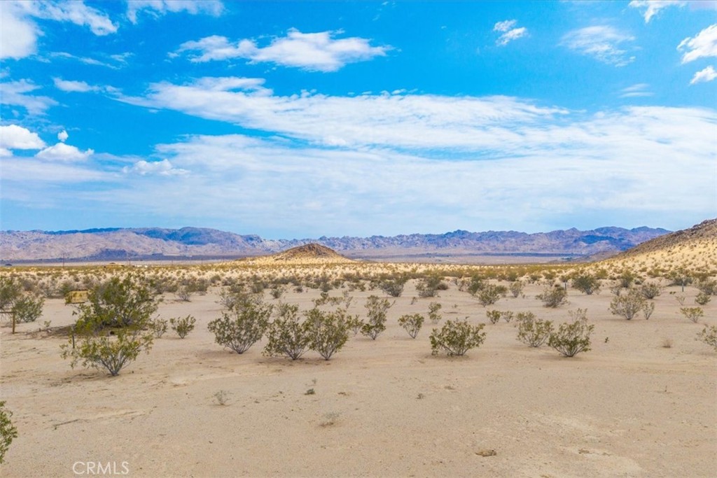 MLS #JT25161930 image #21