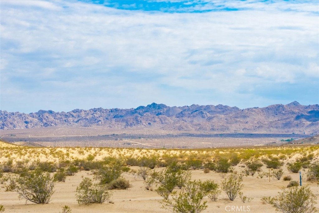 MLS #JT25161930 image #4