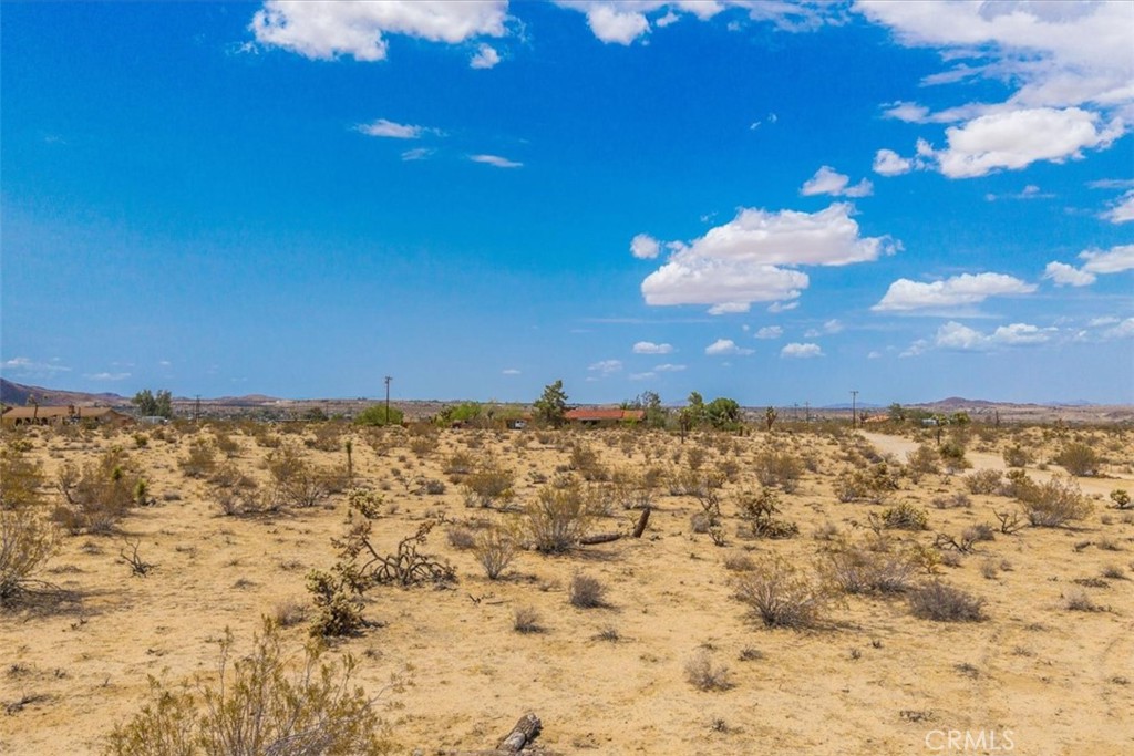 MLS #JT25162090 image #10