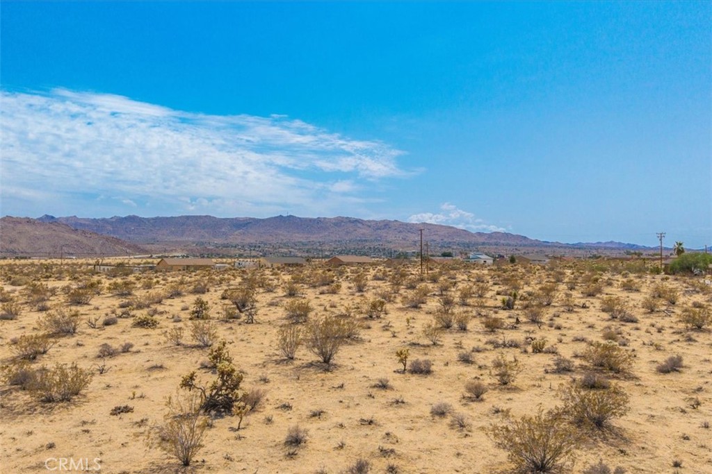 MLS #JT25162090 image #12