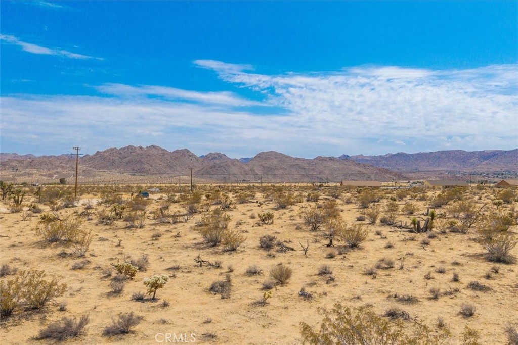 MLS #JT25162090 image #13