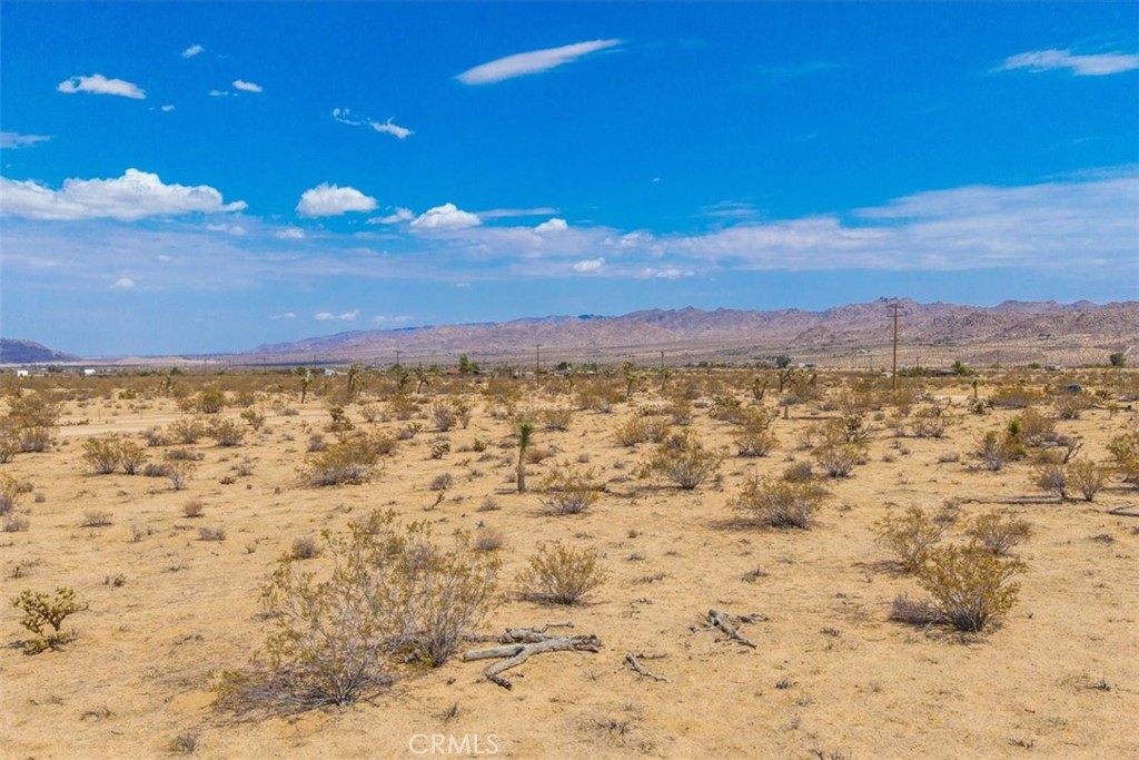 MLS #JT25162090 image #14