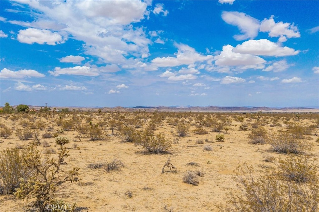 MLS #JT25162090 image #16