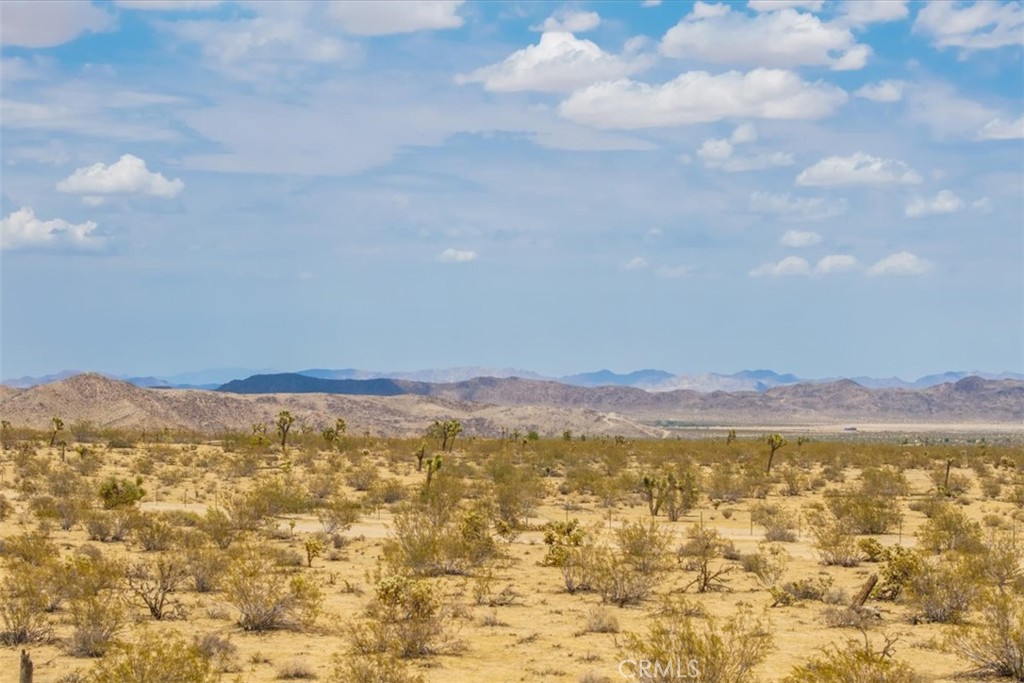 MLS #JT25162090 image #17