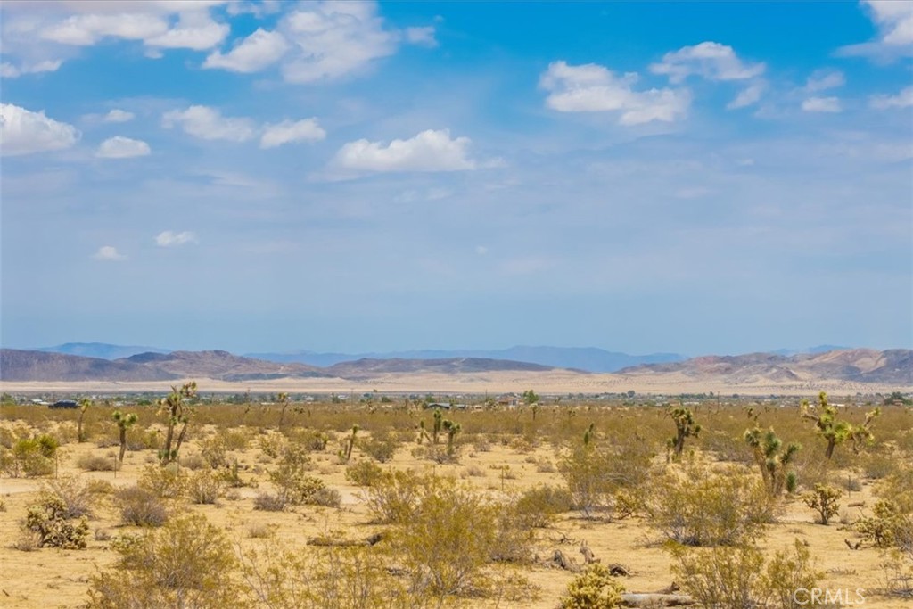 MLS #JT25162090 image #18