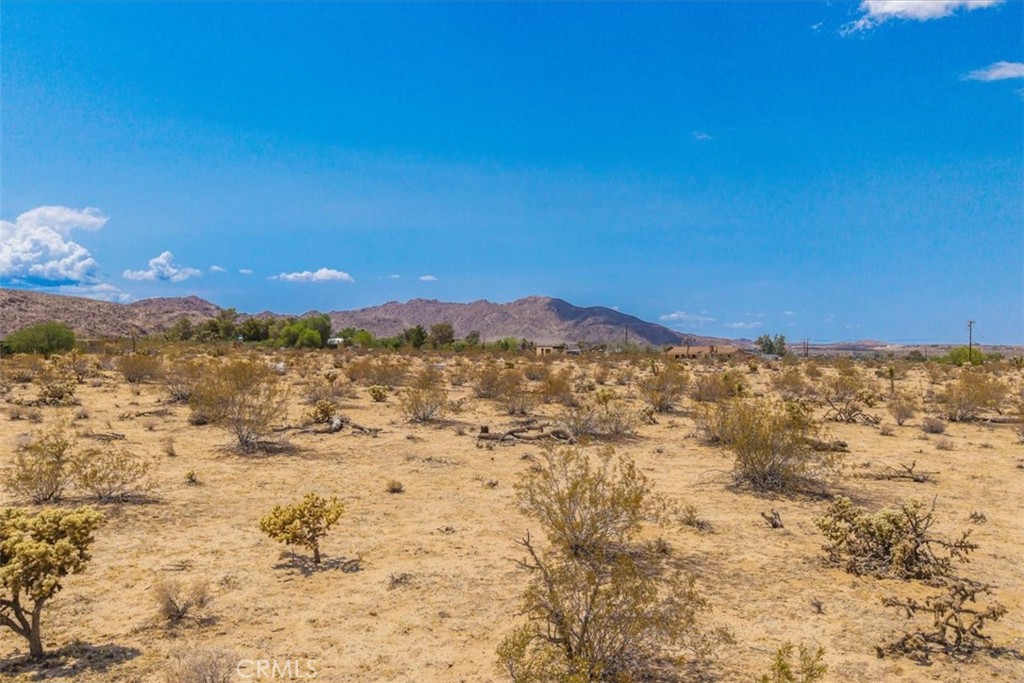 MLS #JT25162090 image #3