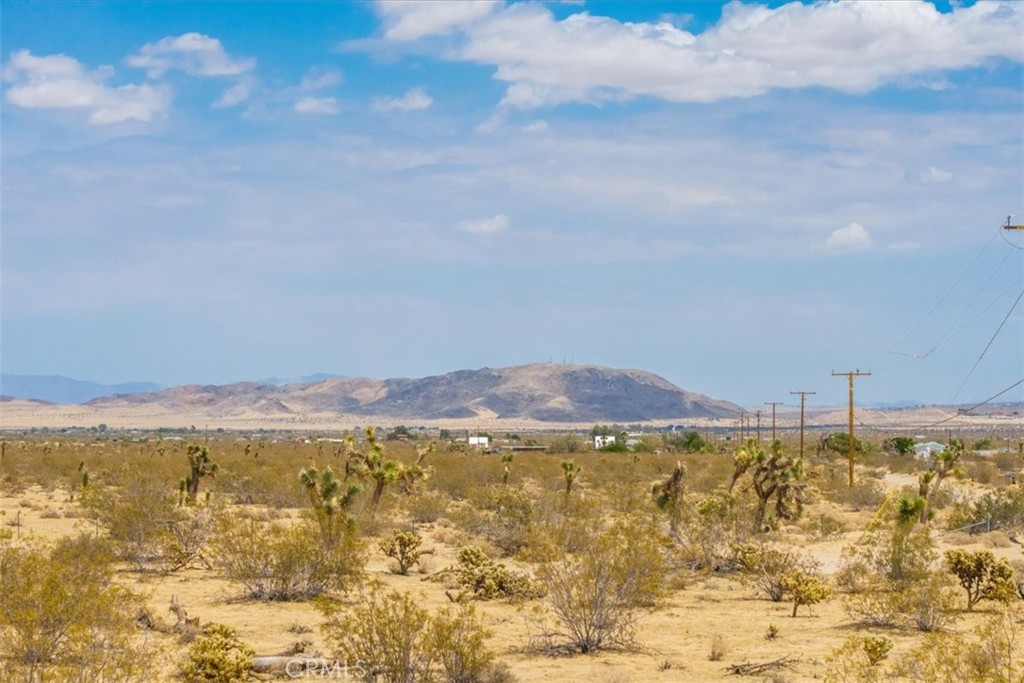 MLS #JT25162090 image #4