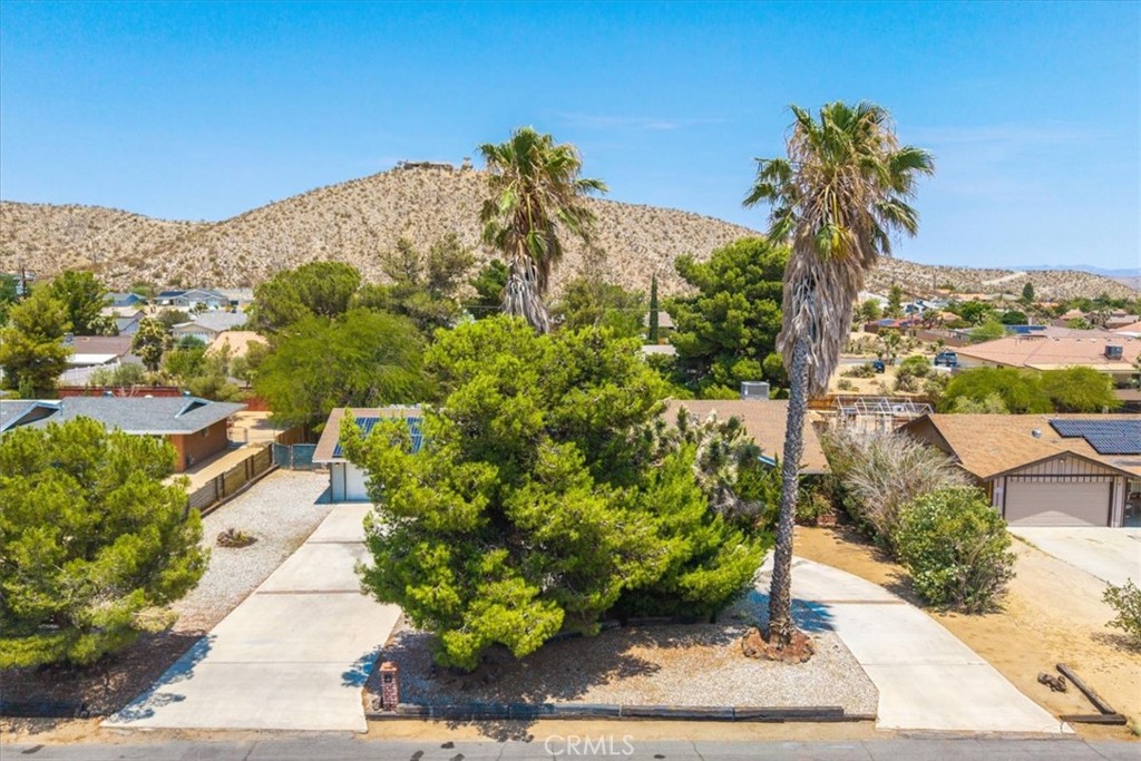 MLS #JT25162684 image #6