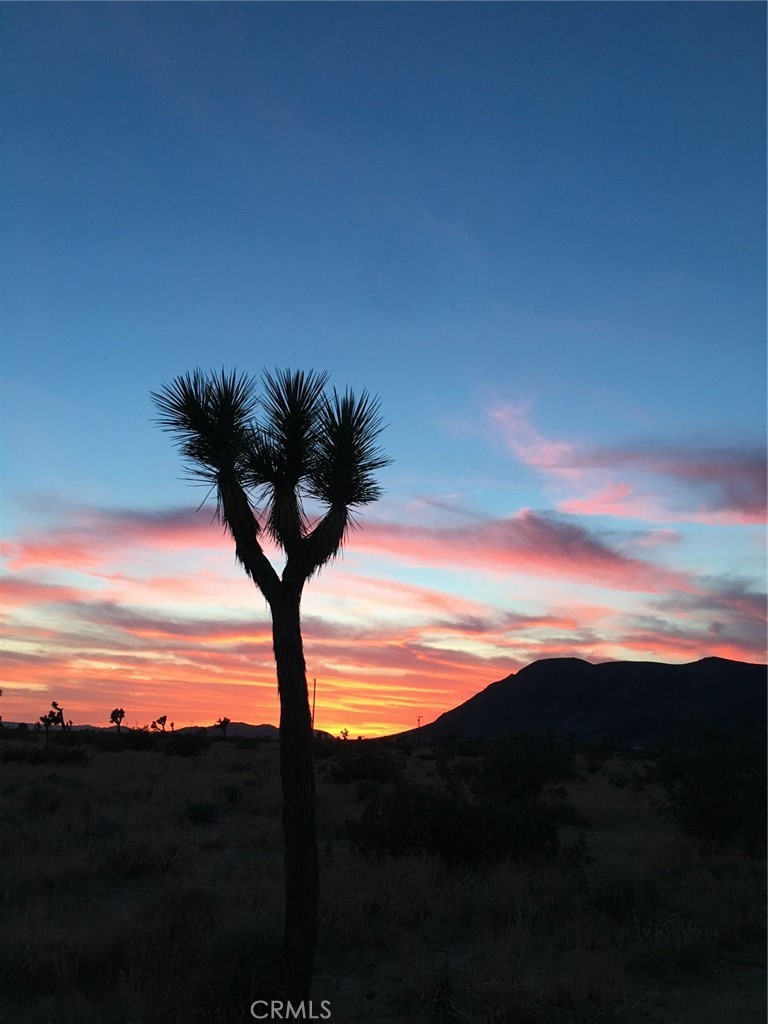 MLS #JT25163202 image #0