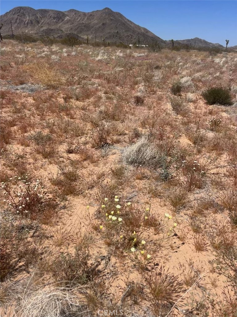 MLS #JT25163202 image #2