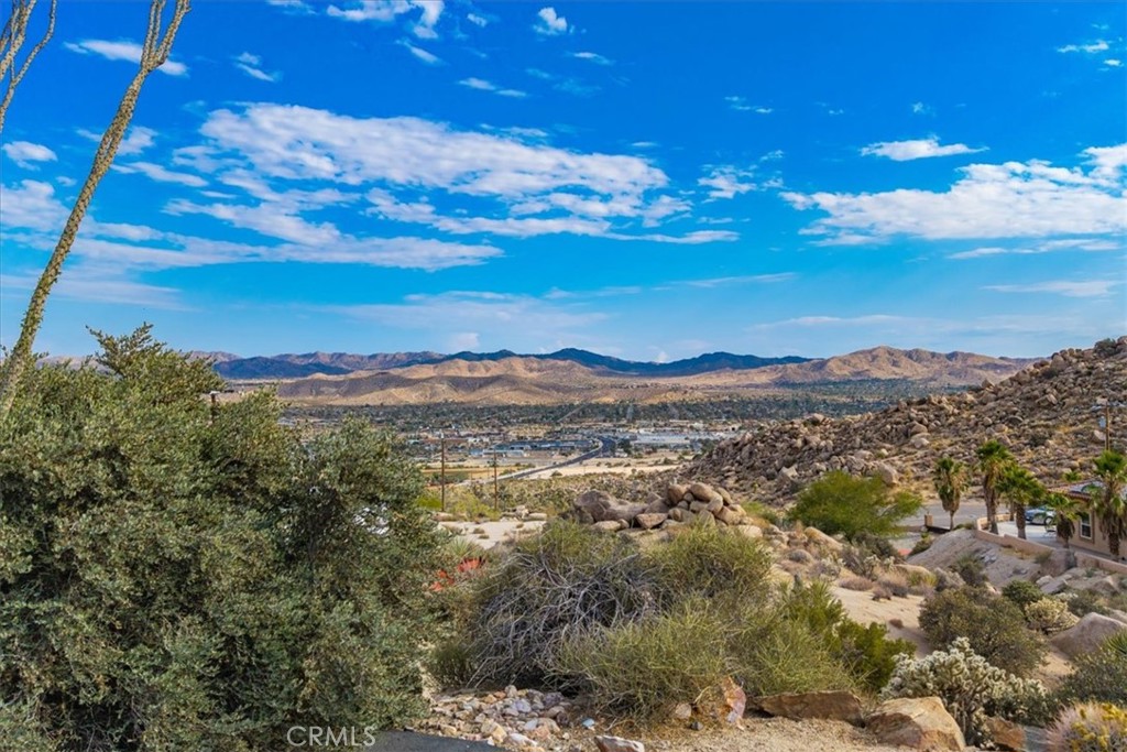 MLS #JT25164021 image #36