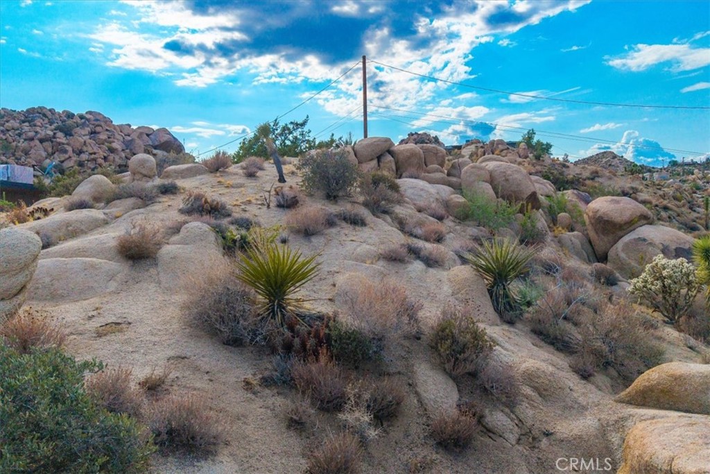 MLS #JT25164021 image #37