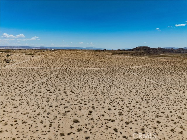 MLS #JT25165164 image #13