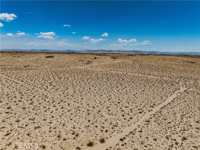 MLS #JT25165164 image #14