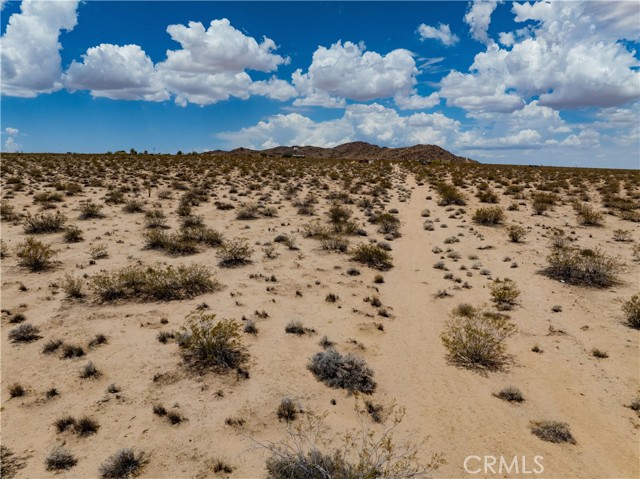 MLS #JT25165164 image #2