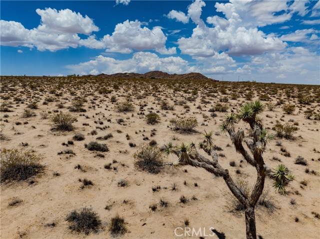 MLS #JT25165164 image #26