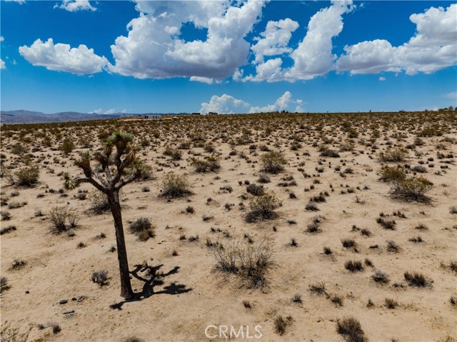 MLS #JT25165164 image #27