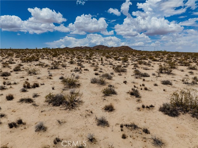 MLS #JT25165164 image #28