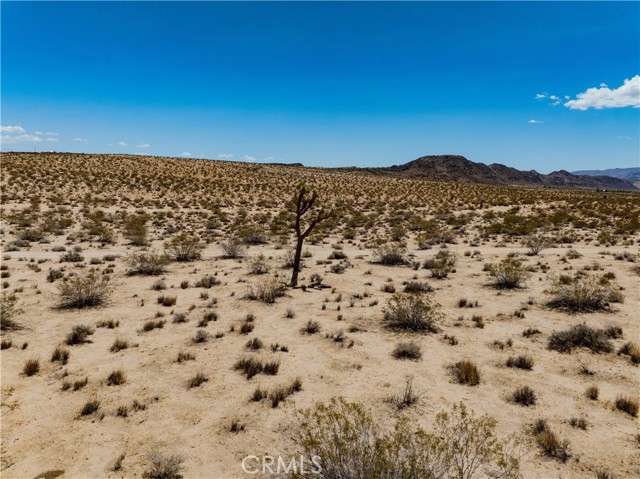 MLS #JT25165164 image #30