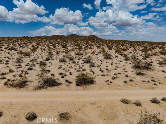 MLS #JT25165164 image #33