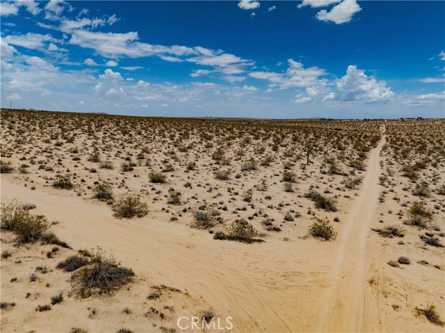 MLS #JT25165164 image #5