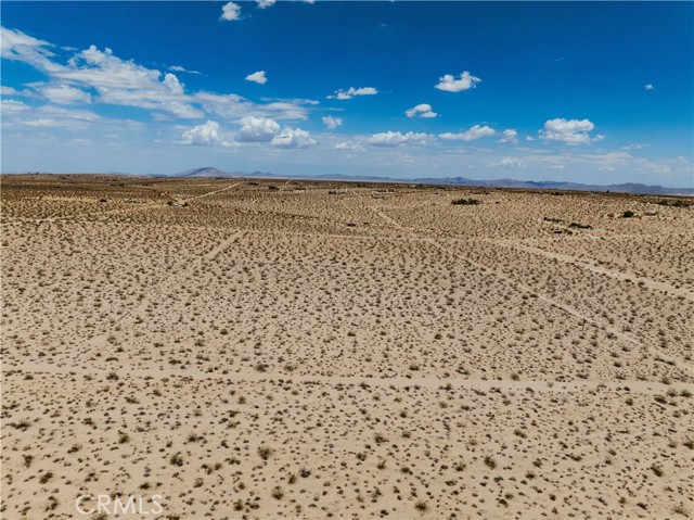 MLS #JT25165164 image #6