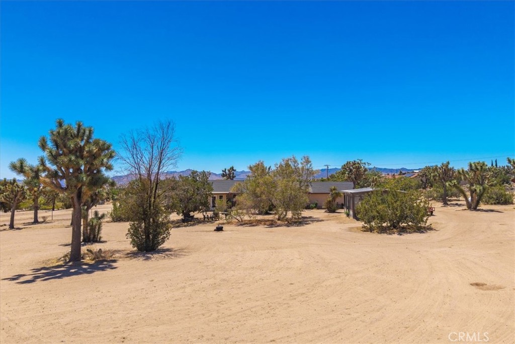 MLS #JT25168021 image #27