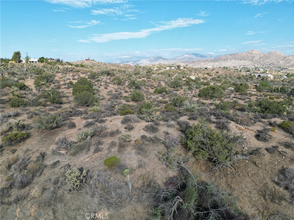 MLS #JT25168807 image #3