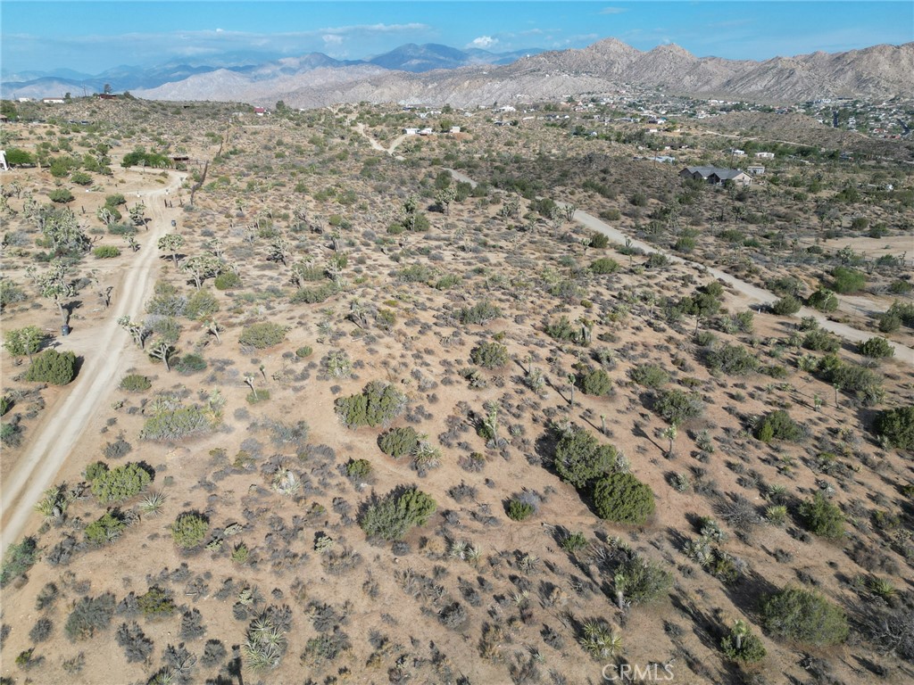 MLS #JT25168807 image #7