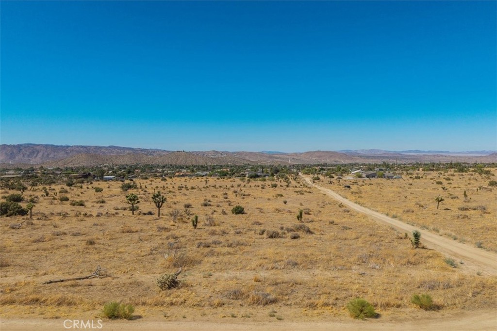 MLS #JT25169495 image #10