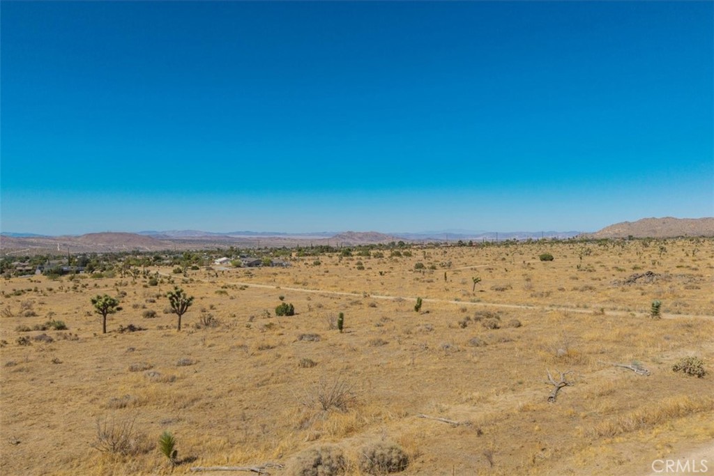 MLS #JT25169495 image #11