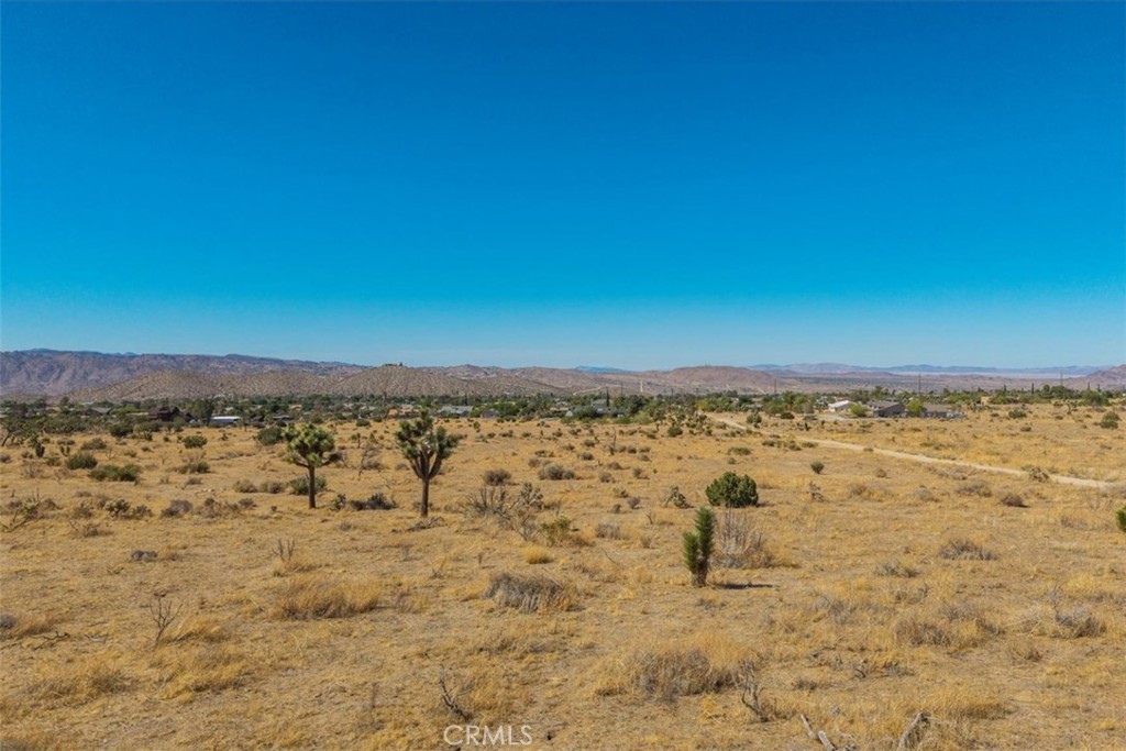 MLS #JT25169495 image #12