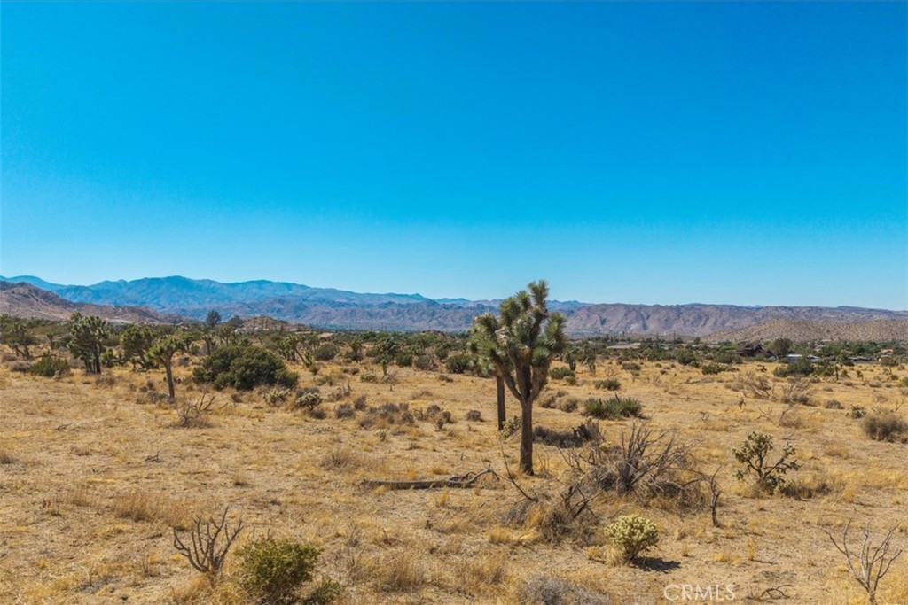 MLS #JT25169495 image #13