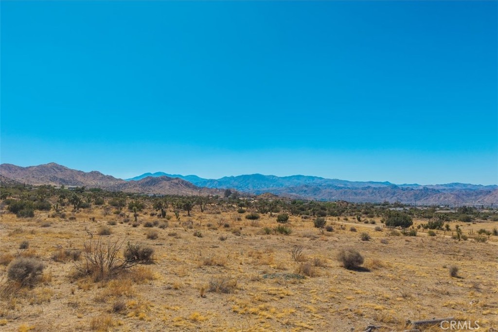 MLS #JT25169495 image #14