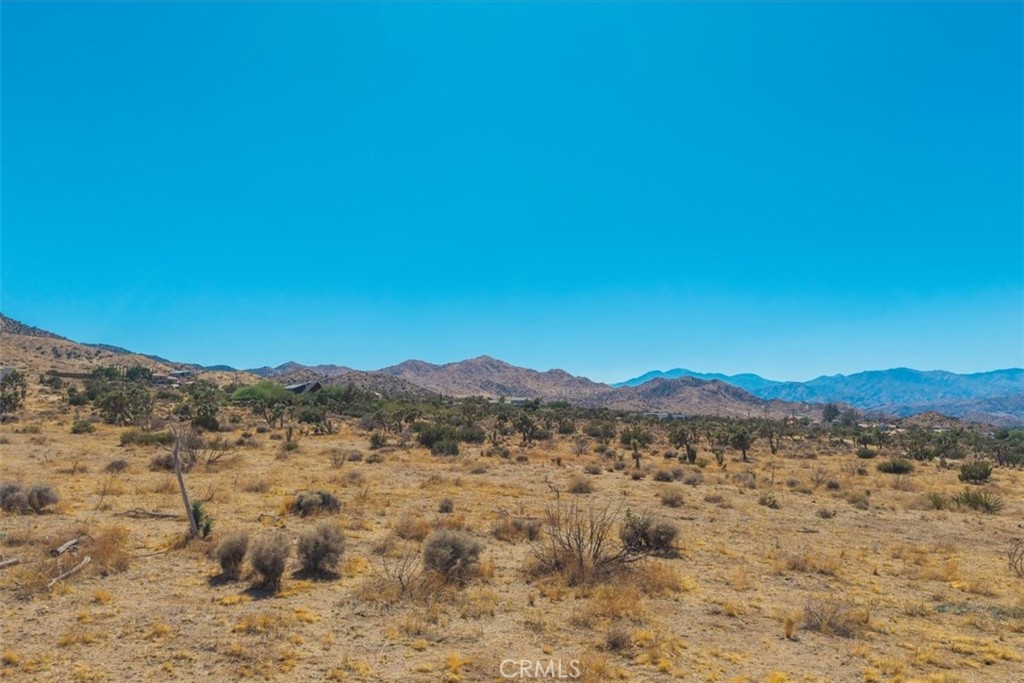 MLS #JT25169495 image #15