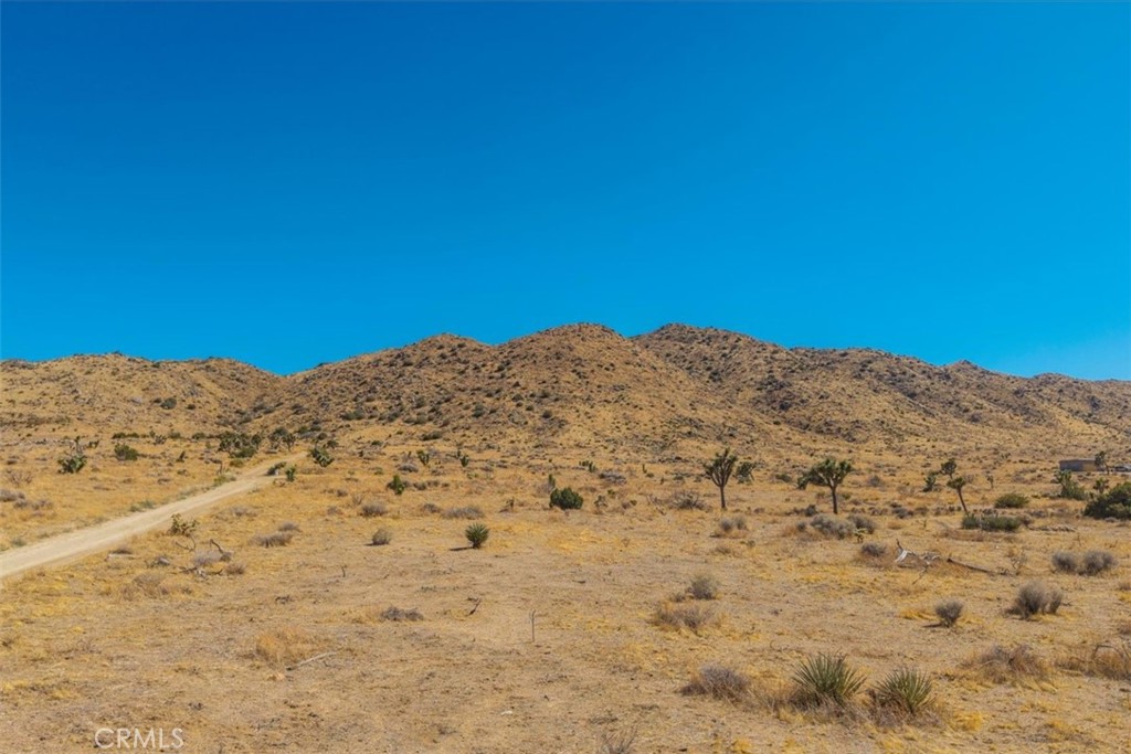 MLS #JT25169495 image #16