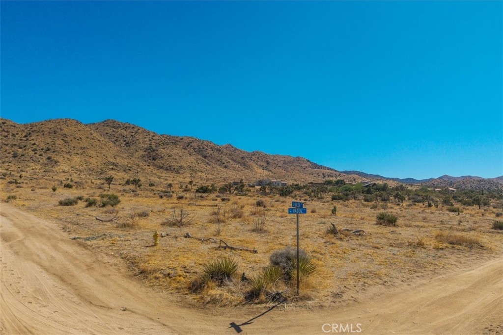 MLS #JT25169495 image #17