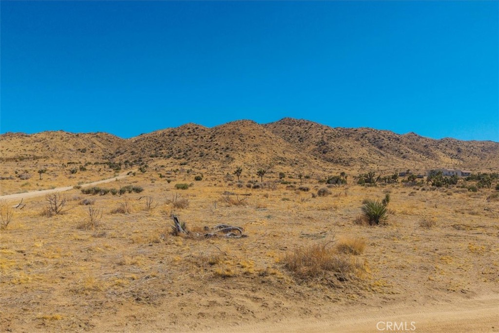 MLS #JT25169495 image #18