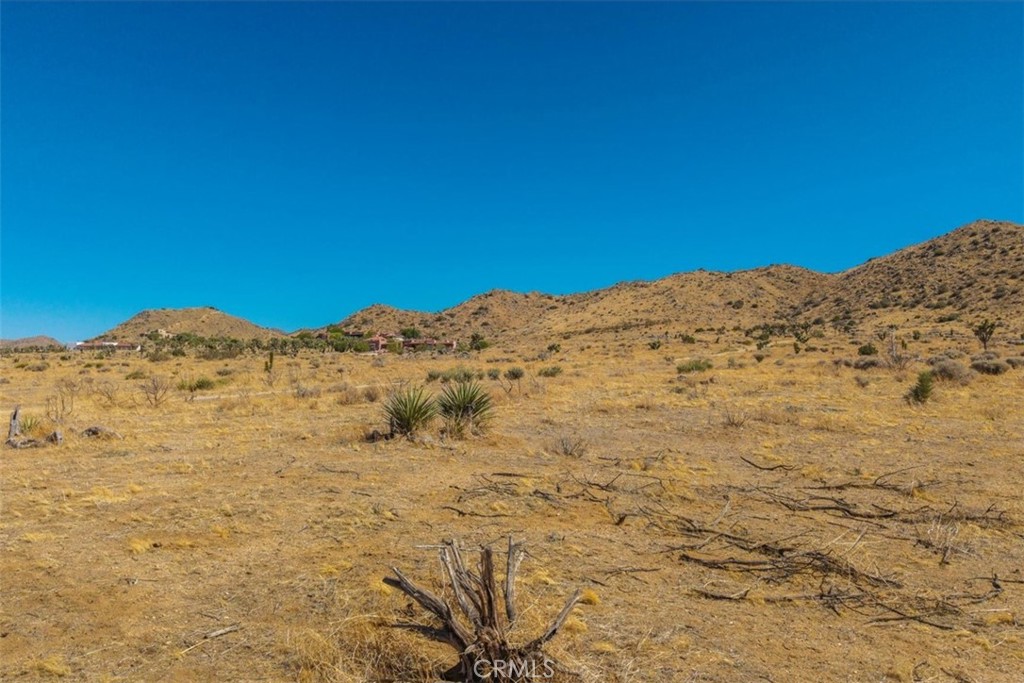 MLS #JT25169495 image #19