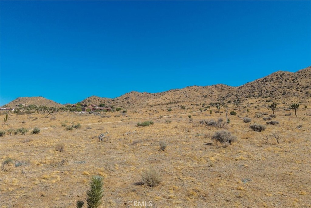 MLS #JT25169495 image #20