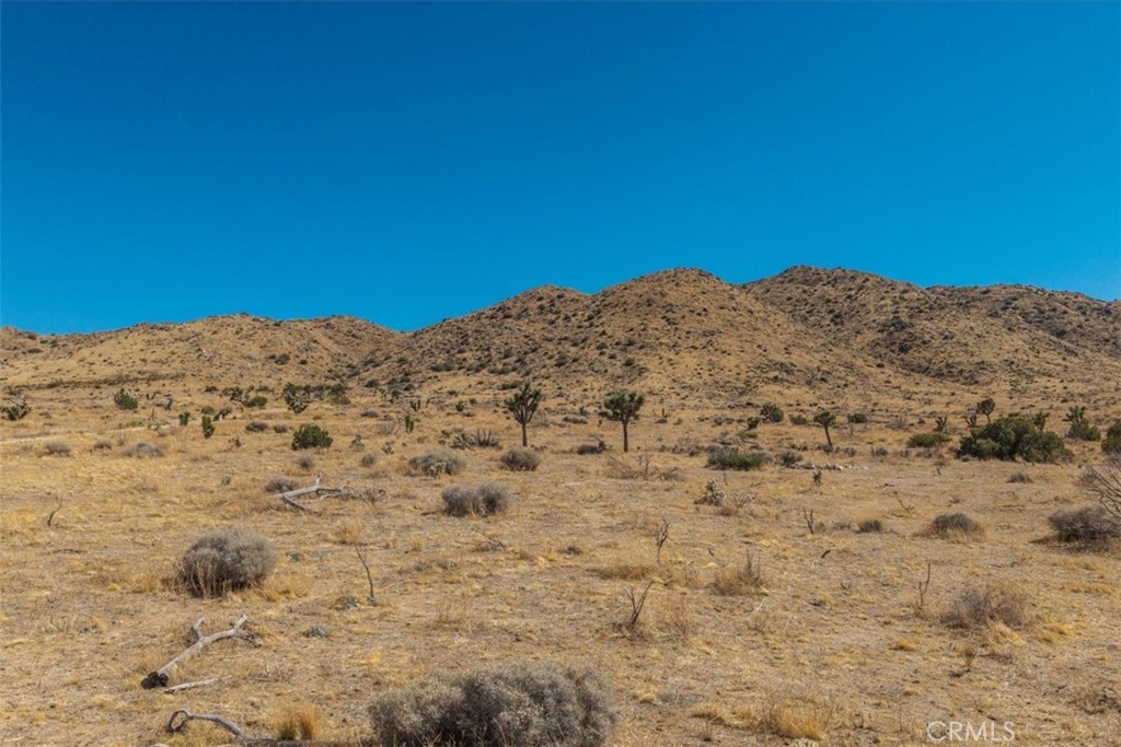 MLS #JT25169495 image #21