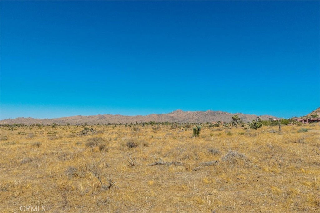 MLS #JT25169495 image #23