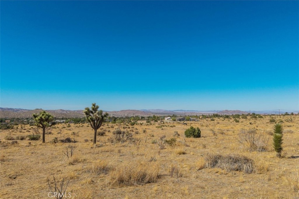 MLS #JT25169495 image #24