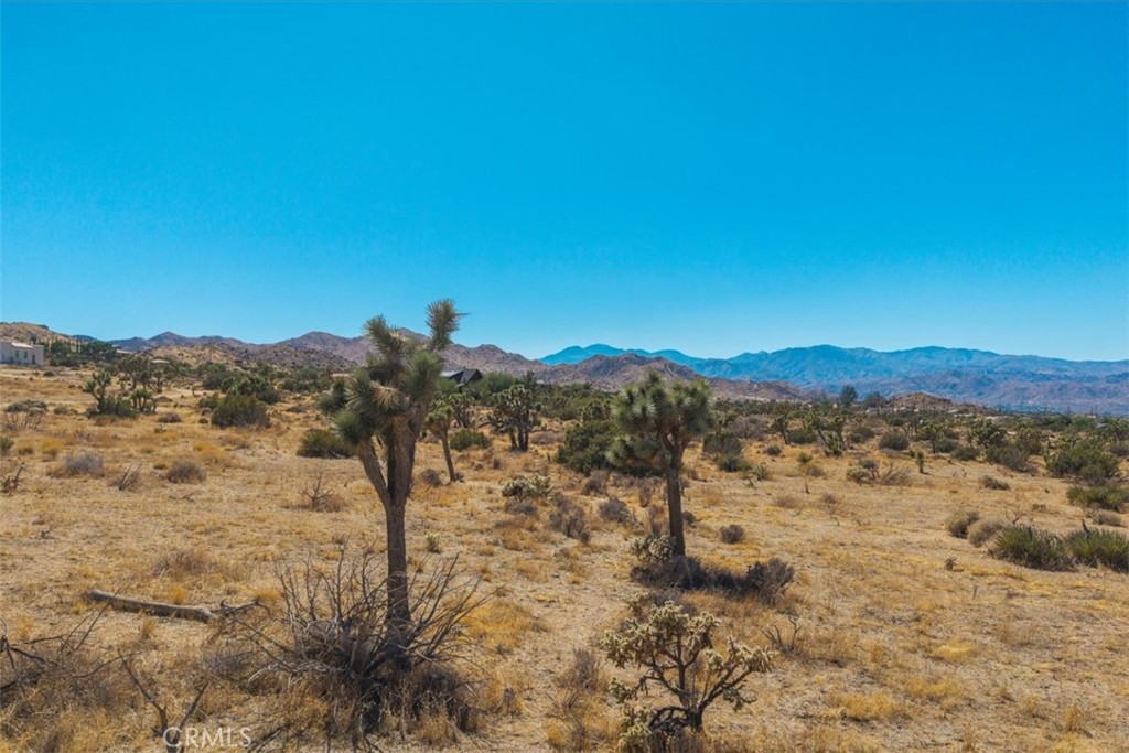 MLS #JT25169495 image #25