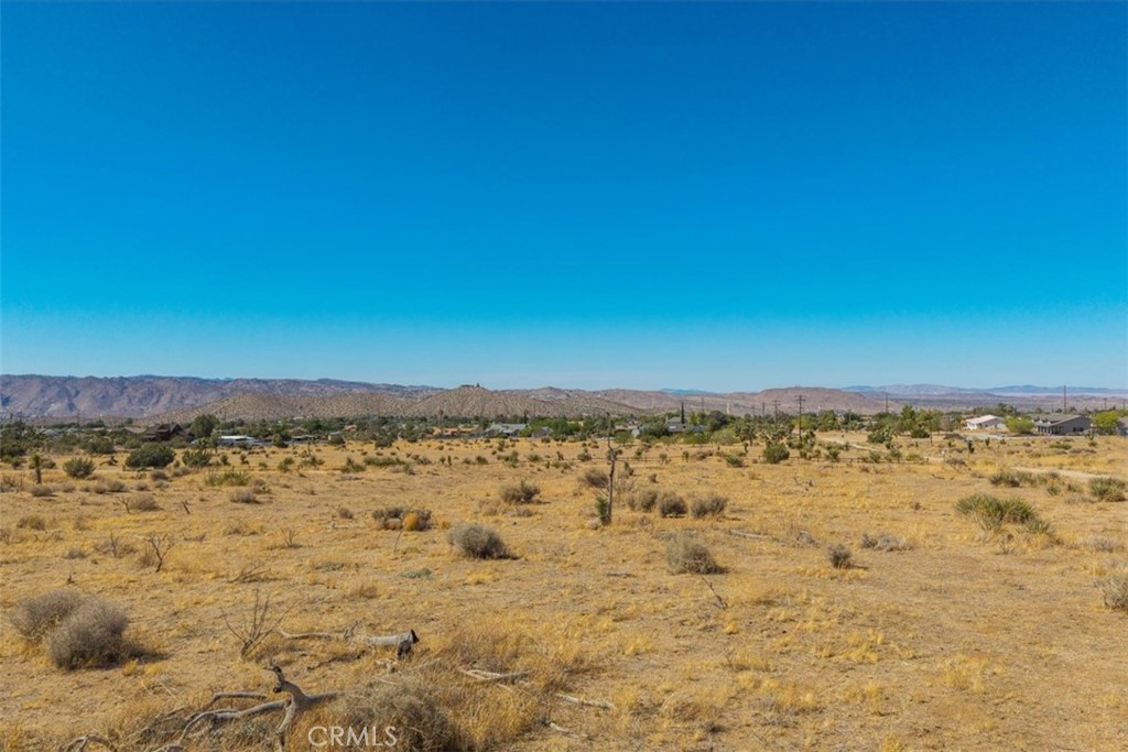 MLS #JT25169495 image #26