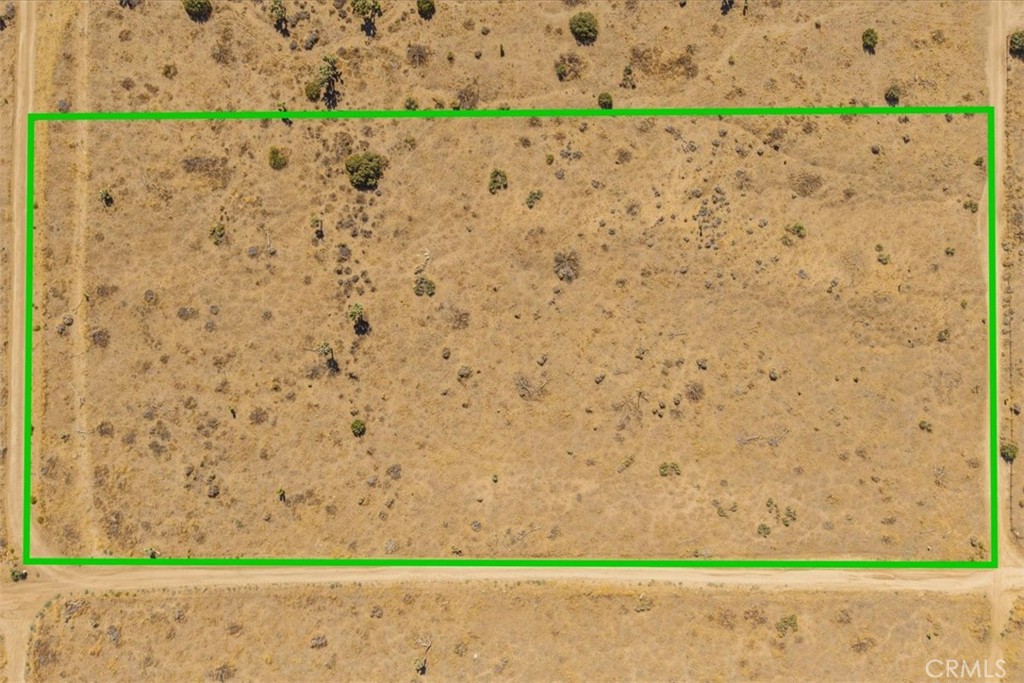 MLS #JT25169495 image #4