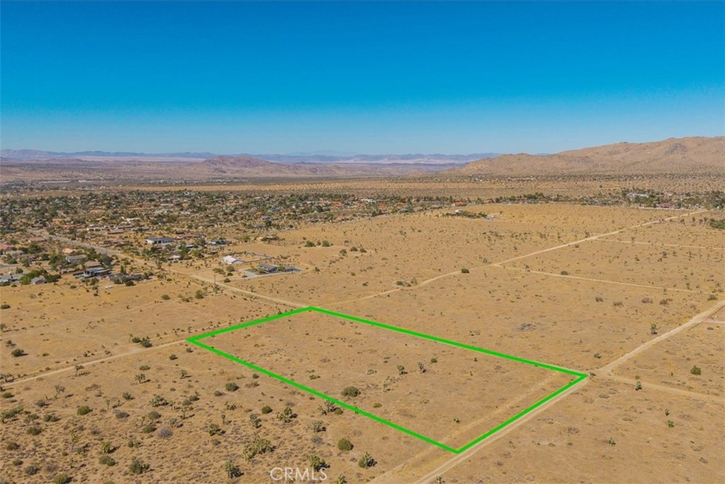 MLS #JT25169495 image #5