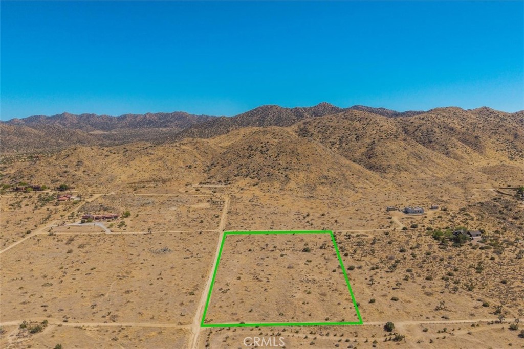 MLS #JT25169495 image #7