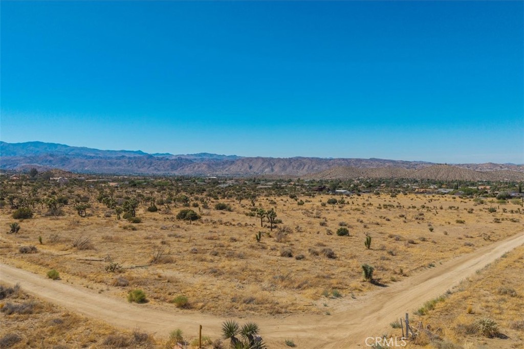 MLS #JT25169495 image #9