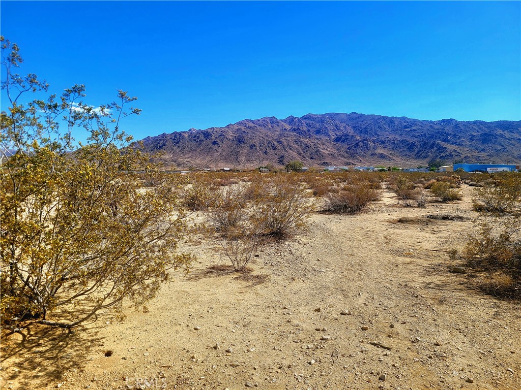 MLS #JT25171128 image #4